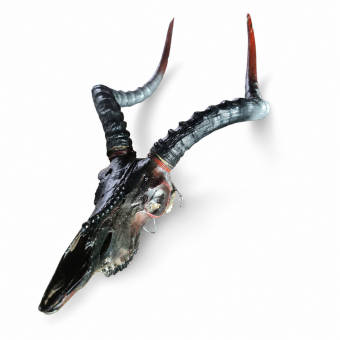 Impala Dark Arts