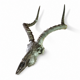 Impala (African Steel)