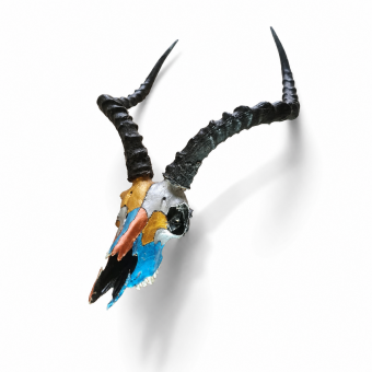 Impala Tricolor